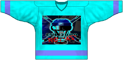 Teamtrikot