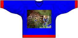 Tenue de l