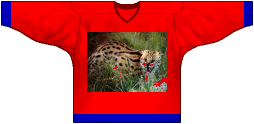 Tenue de l