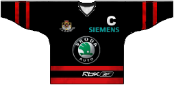 Dres týmu
