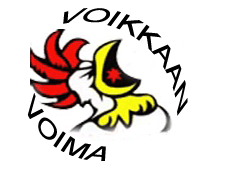 Joukkueen logo