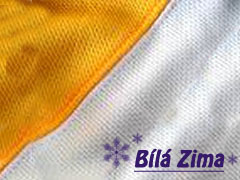 Logo Týmu