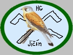Logo Týmu