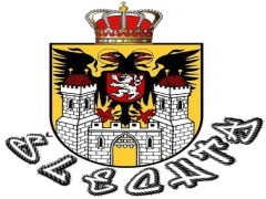 Logo Týmu