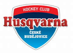 Logo Týmu