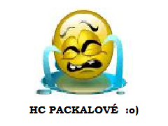 Logo Týmu