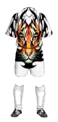 Team uniform