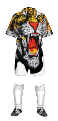 Team uniform