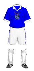 Teamtrikot