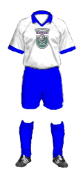 Teamtrikot