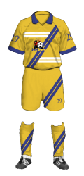 Teamtrikot