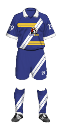 Teamtrikot