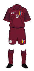 Teamtrikot