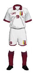 Teamtrikot