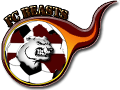 Csapat logo
