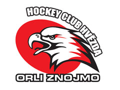 Logo Týmu